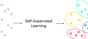 self-supervised learning concepts examples