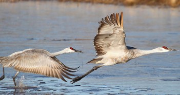 Tips to Migrate from Traditional to Spring MVC based Java Web Application migrate
