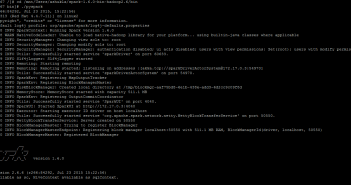 Dockers – How to Get Started with Spark on Windows