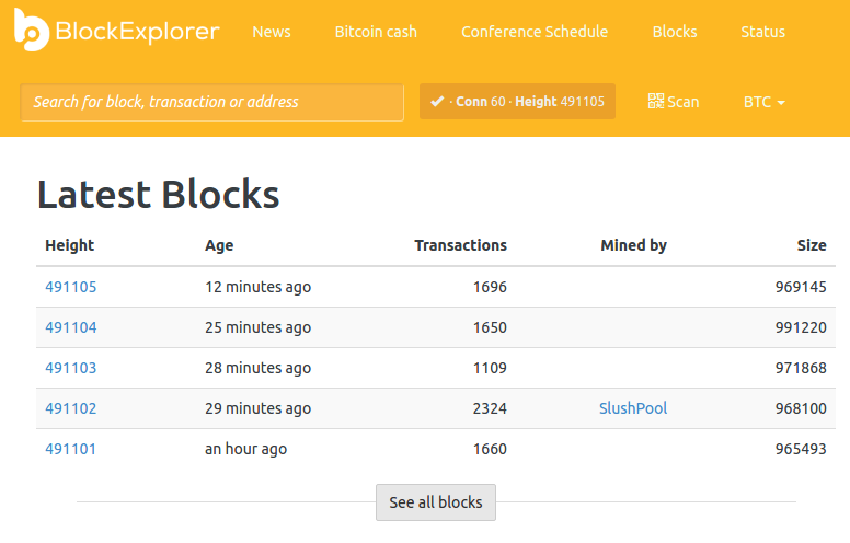 btc block explorder