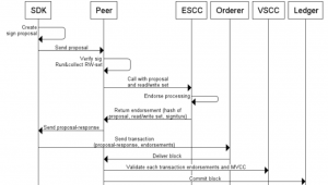 Blockchain - Transaction Journey into A Hyperledger Blockchain Network ...