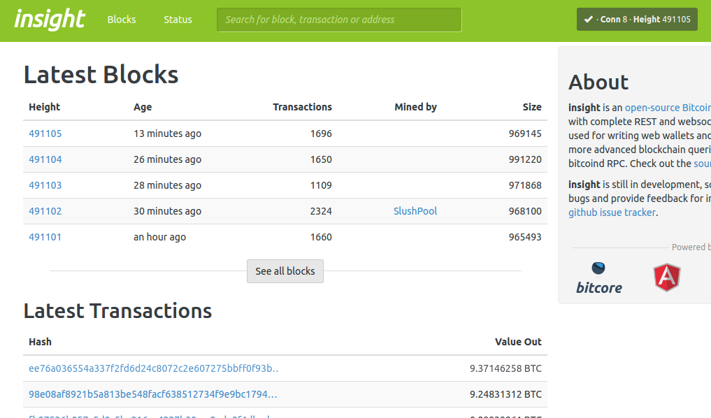 Insight Bitpay Bitcoin Explorer