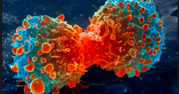 15+ AI Startups for Cancer Prediction / Treatment AI Startup for Cancer treatment