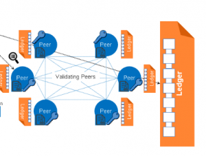 hyperledger fabric introduction