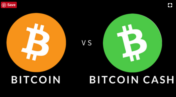 Cryptocurrency Bitcoin And Bitcoin Cash Difference Reskilling It - 