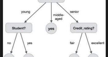 Decision Tree Algorithm – Concepts, Interview Questions