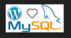 Wordpress mysql installation using Docker