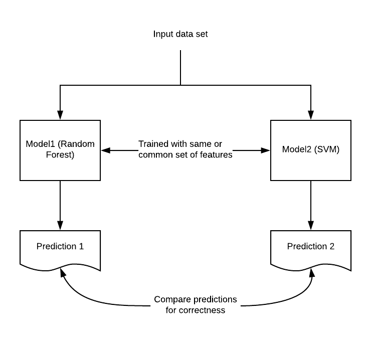 Testing Machine Learning Models - Dual Coding Principles