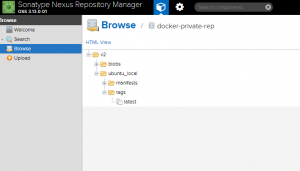 Browse Docker Images in local Nexus Repository