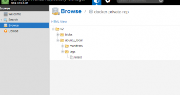 Configure Nexus Repository for Docker Registry (Windows) Browse Docker Images in local Nexus Repository