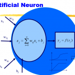 Machine learning neural network slides