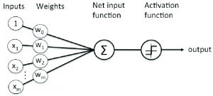 Perceptron