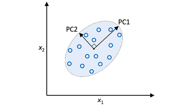 Principal Components representing variance in two dimensions