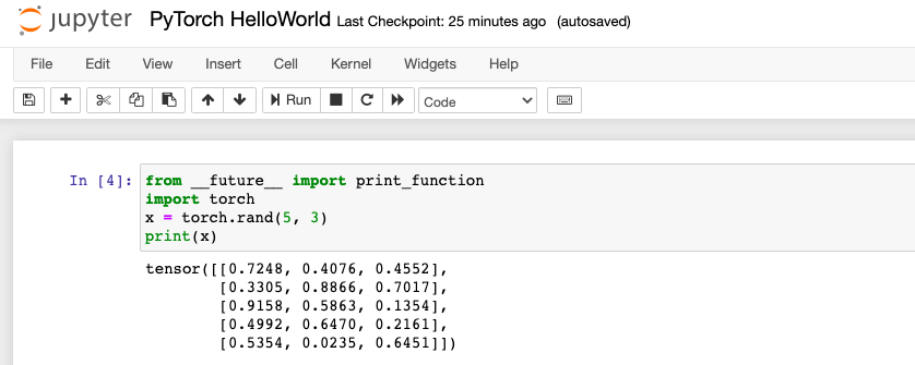 PyTorch successful set up on Anaconda