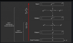 neural network back propagation algorithm