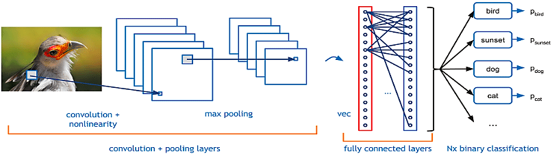 Convolutional Neural Network - CNN