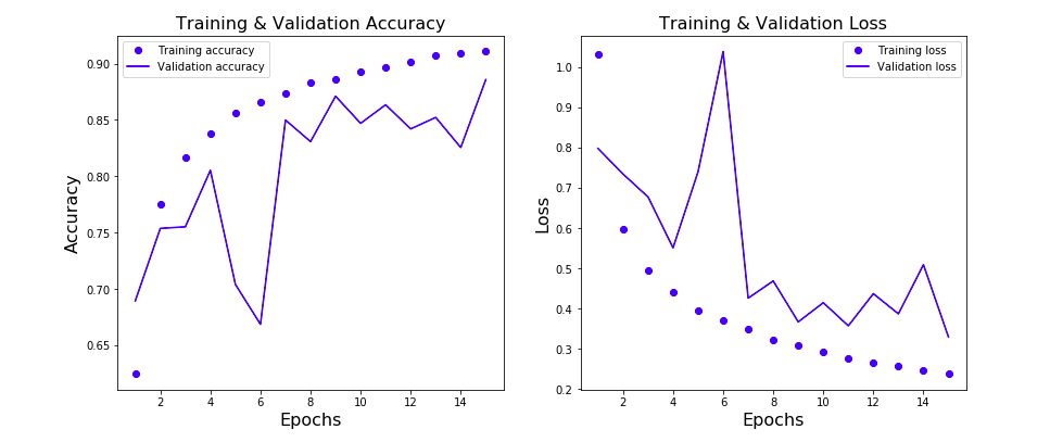 Learning Curve representing Model loss & accuracy vis-a-vis Training & Validation Data