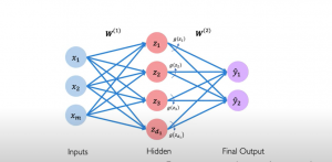 Single layer neural network