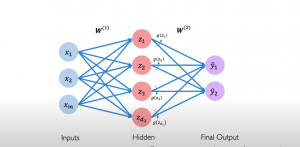 Single Layer Neural Network 300x147 