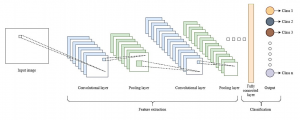 CNN Basic Architecture for Classification & Segmentation - Analytics Yogi