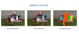 image classification object detection image segmentation