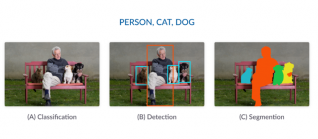 image classification object detection image segmentation