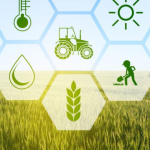 machine learning applications for agriculture use cases