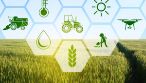 machine learning applications for agriculture use cases