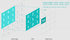 Input image along with convolutional layer
