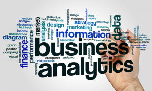 business analytics team structure roles and responsibilities