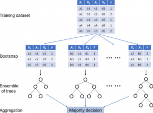 random forest classifier machine learning