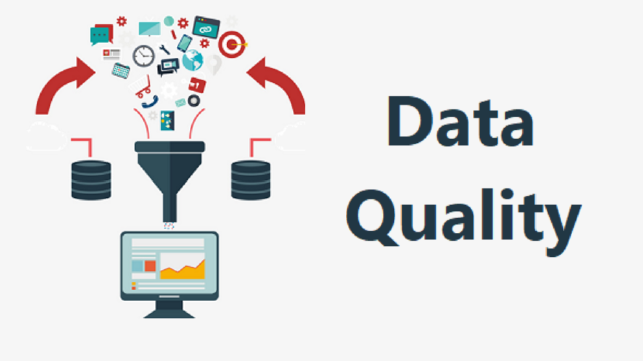 Addressing Data Quality Issues in Student Research Projects