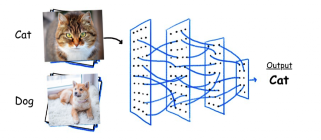 binary classification problem cat vs dog