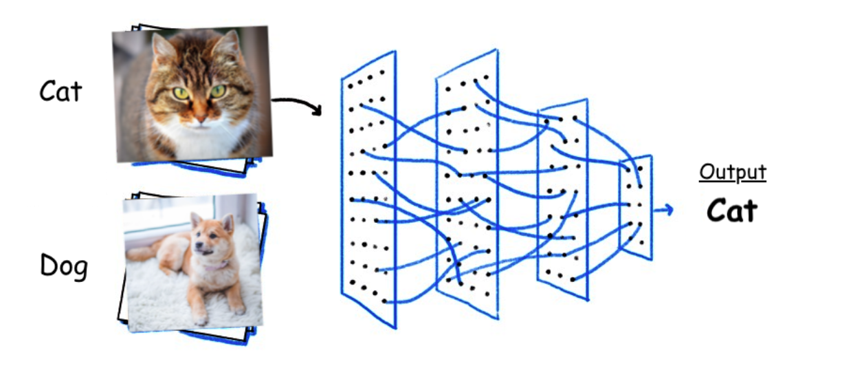 Tensorflow классификация изображений