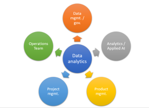 Data analytics organization