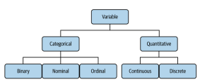 Types of variables in data science