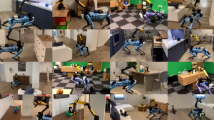 embodied ai - artificial visual cortext - adaptive skill coordination