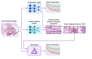 learning-new-features-from-deep-learning-