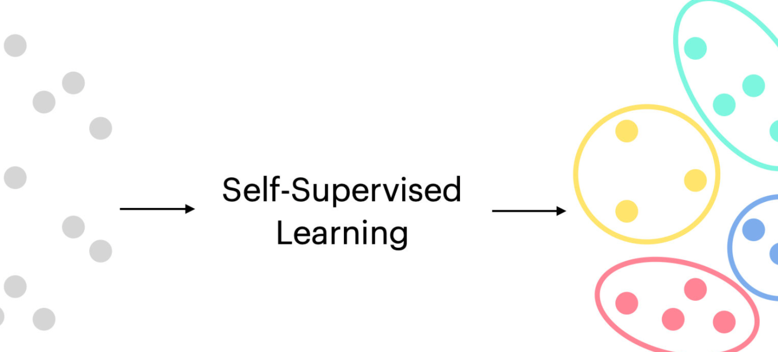 Self-Supervised Learning: Concepts, Examples