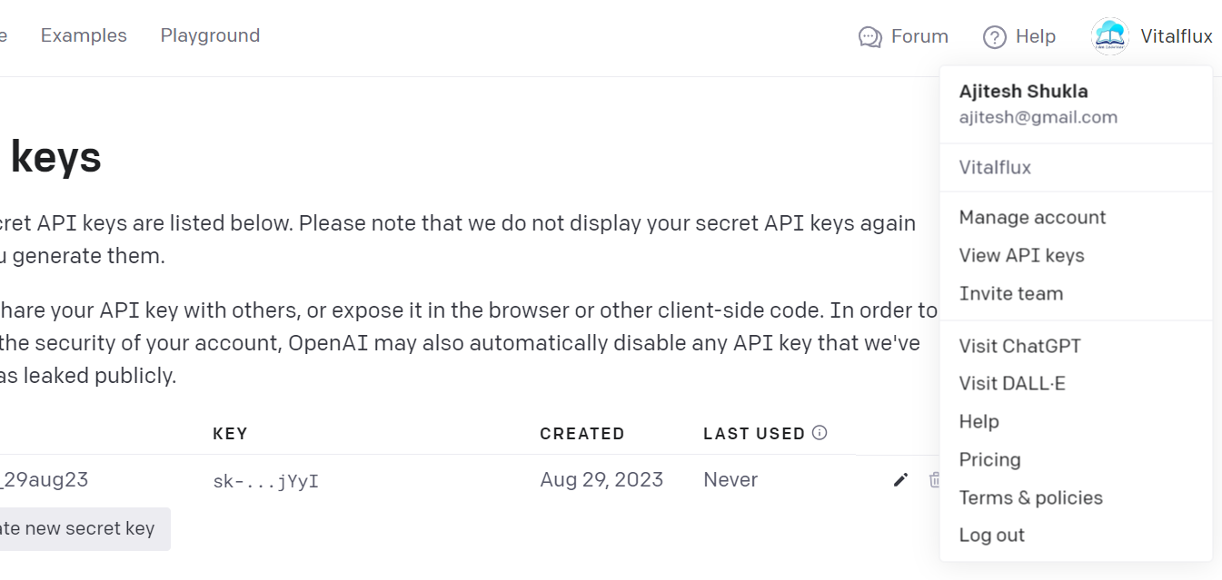 OpenAI API Keys