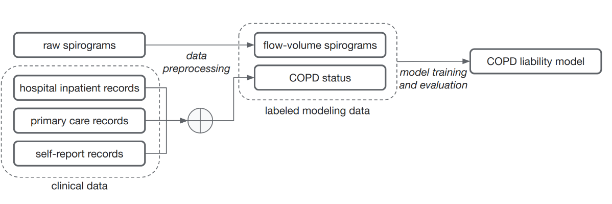 lung disease prediction classification models in machine learning