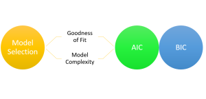 model selection using AIC and BIC