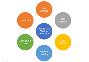 data science big data career paths