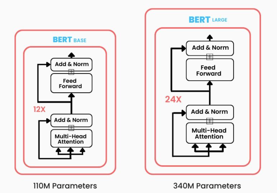 BERT base BERT Large neural network architectures