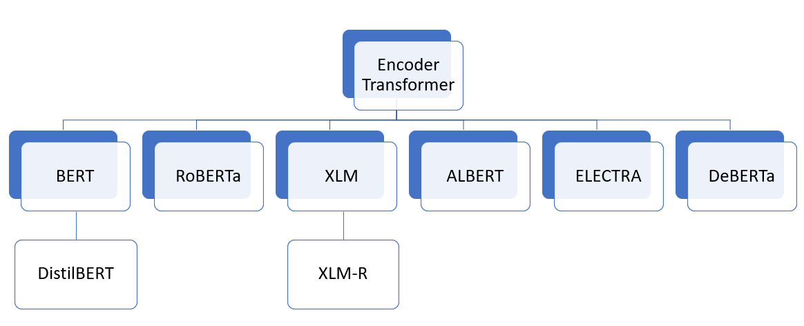 encoder only transformer models examples